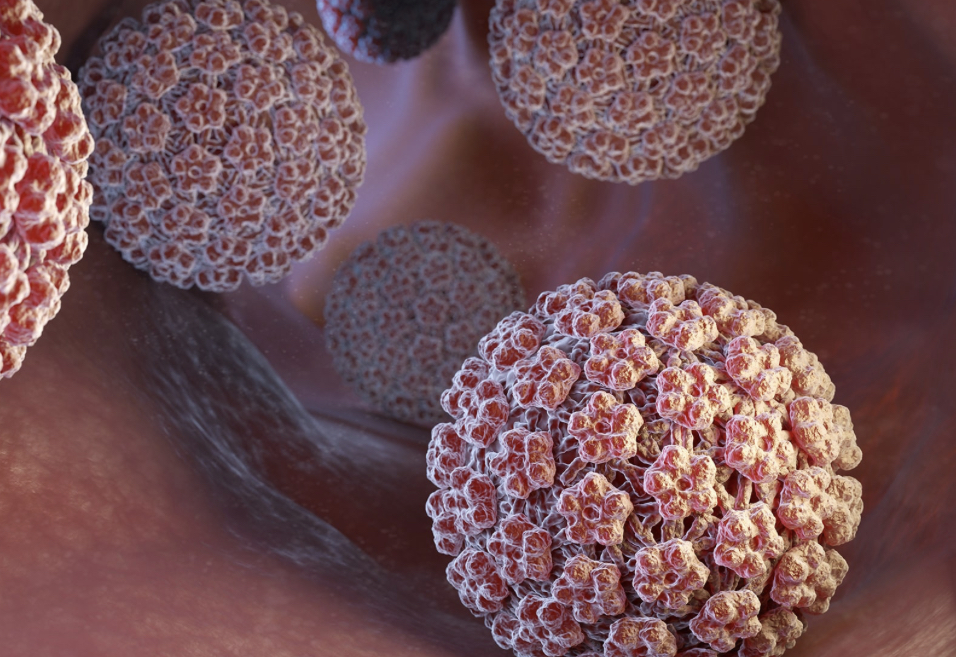 Bagaimana Parasit Memengaruhi Kesehatan Kulit dan Papiloma